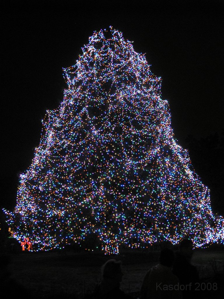 Toledo Zoo Lights 2008 064.jpg - The 85-foot Norway Spruce will be decorated for the first time with all wide angle LED lights.     * Big Tree Stats:       - Norway Spruce located near the Broadway entrance by the Conservatory       - It's between 65-70 years old and over 85 feet tall       - The lowest branches from tip-to-tip are 50 feet in diameter       - The trunk circumference is 8 feet 7 inches       - It is estimated to weigh about 7 tons       - There are over 30,000 lights on the Big Tree alone, that's almost 3 miles of lights!       - It takes approximately one week to decorate the tree 